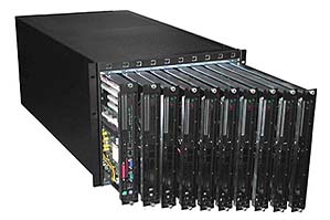 Dedicated blade servers